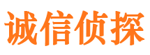 合江市私家侦探公司